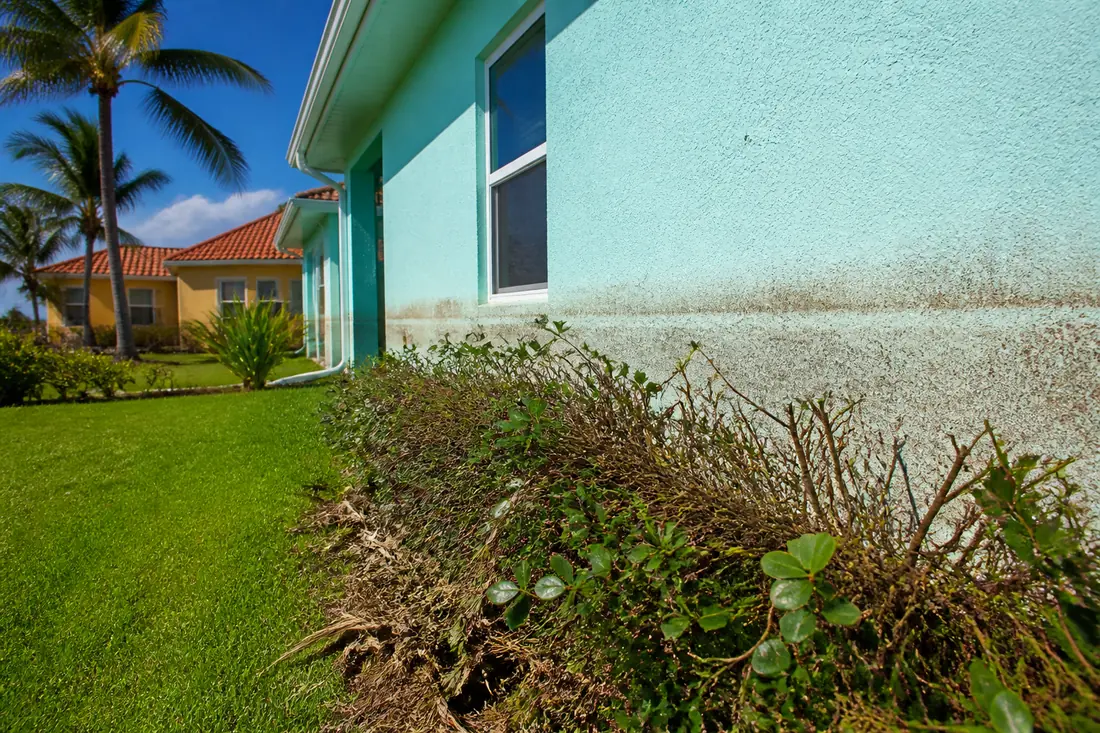 A high water mark left on the outside wall of a Florida house after storm surge